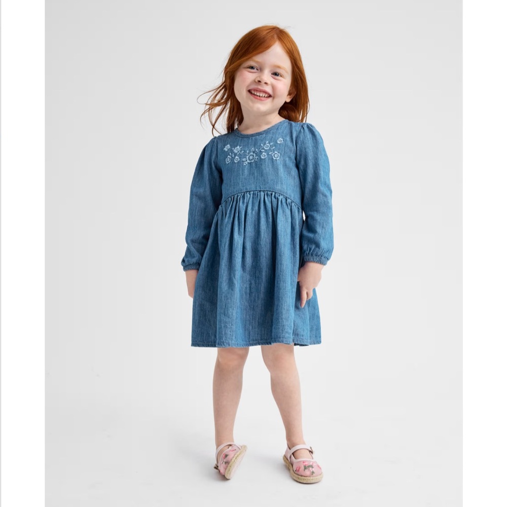 Baby And Toddler Girls Embroidered Floral Chambray Fit And Flare Dress - Blue